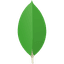 MongoDB — THE TISA
